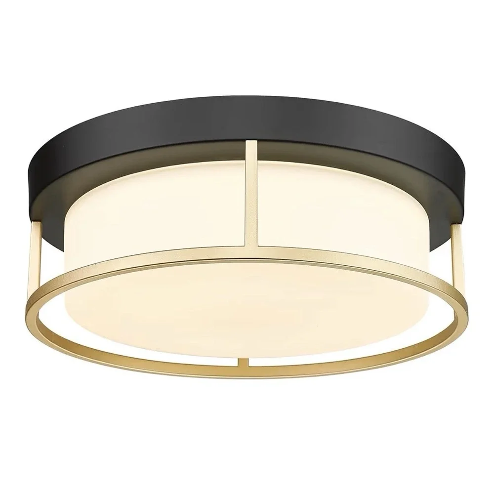 Caldion LED Modern Ceiling Light Fixture 12inch 24W 1100lumens Flush Mount Ceili